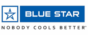 BLUE LOGO